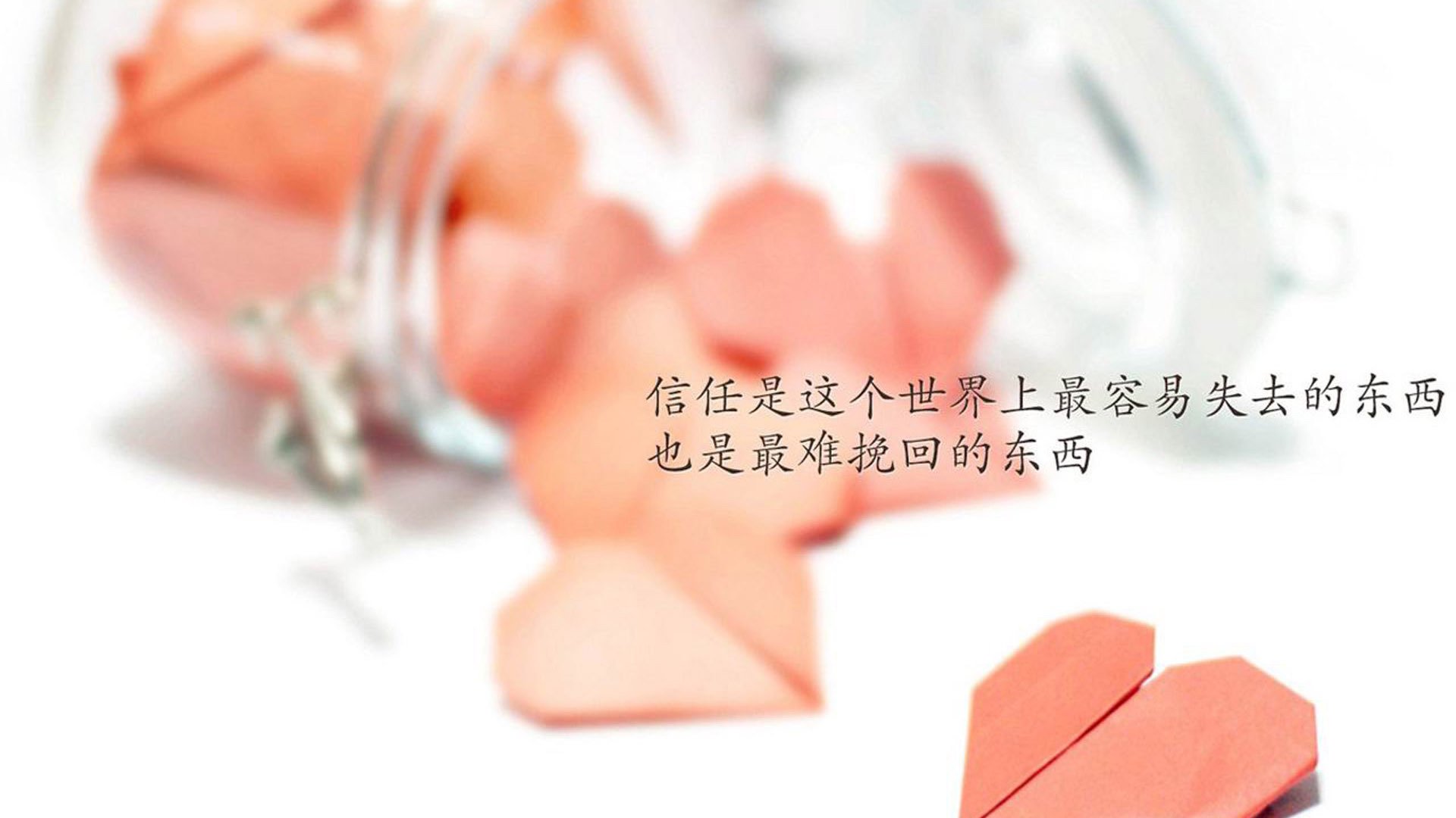潜水装备出租（潜水装备是多少钱一套）